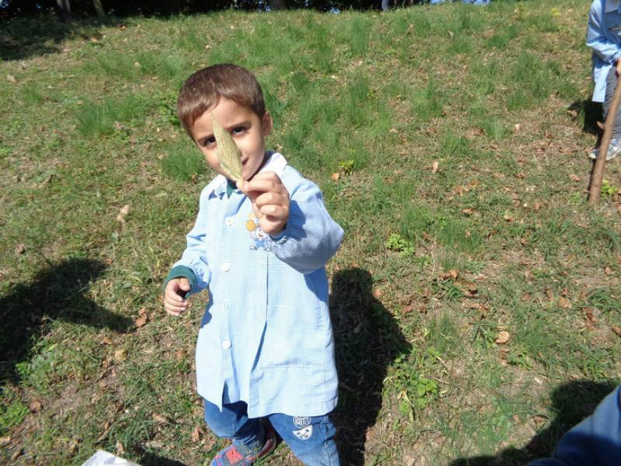 Invece il pomeriggio i Lupetti sono impegnati così: