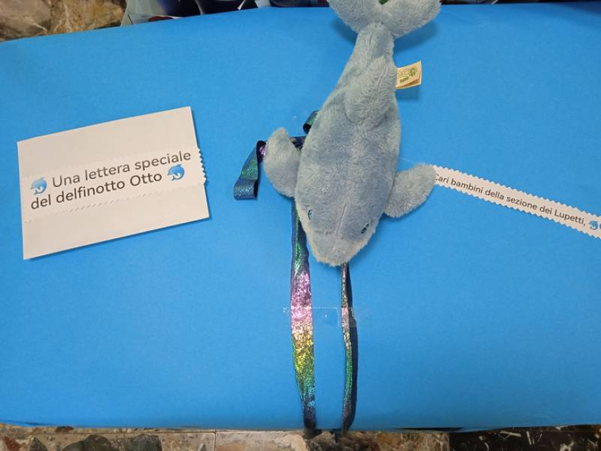 I Lupetti concludono anche il laboratorio di Delfinotto