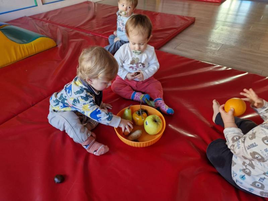 Esploriamo i frutti dell'Autunno